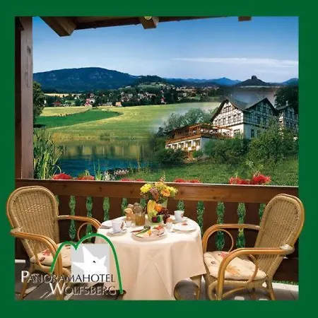 Panoramahotel Wolfsberg 3*