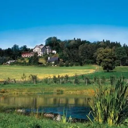 Hotel Panoramahotel Wolfsberg 3*