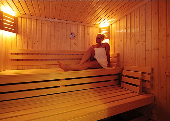 Panoramahotel Wolfsberg מלון 3*